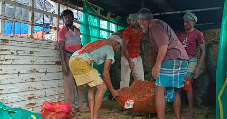 ট্রাক থেকে নামানো হচ্ছে আমদানি করা কাঁচা মরিচ